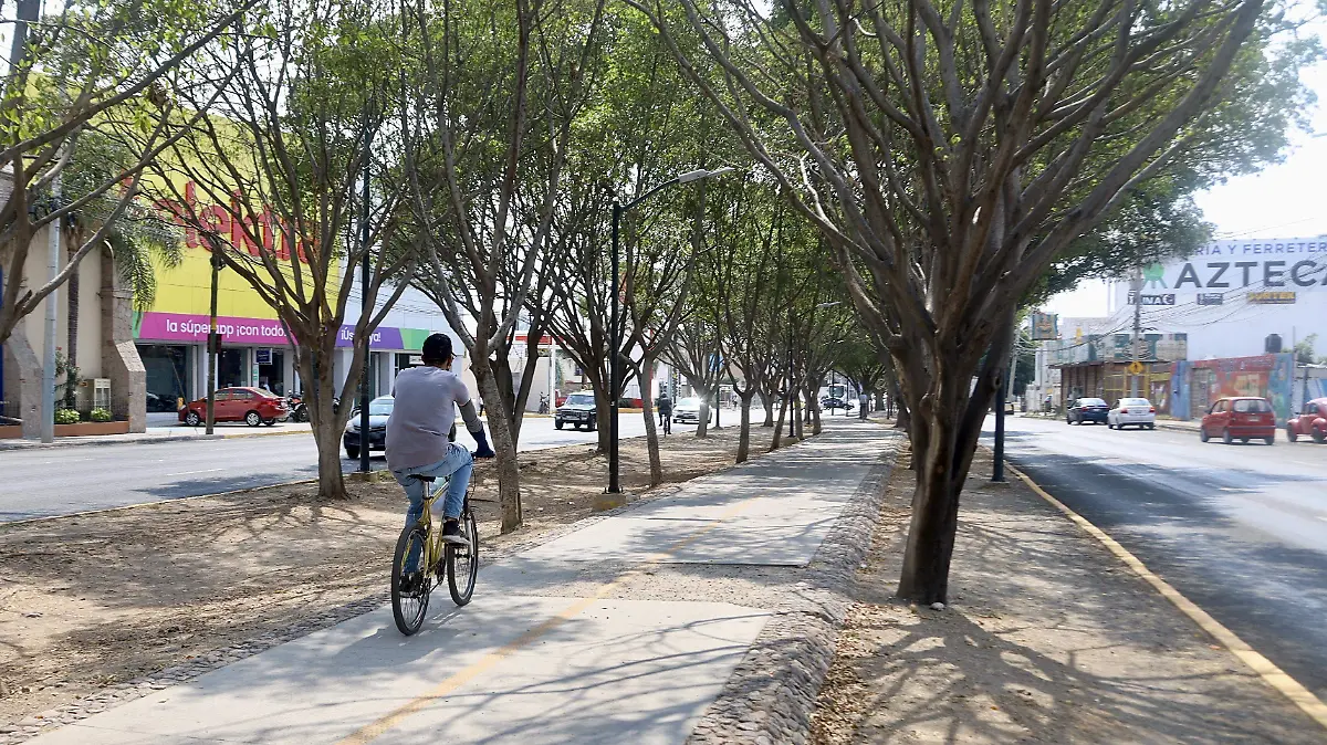 BICICLETAS (1)