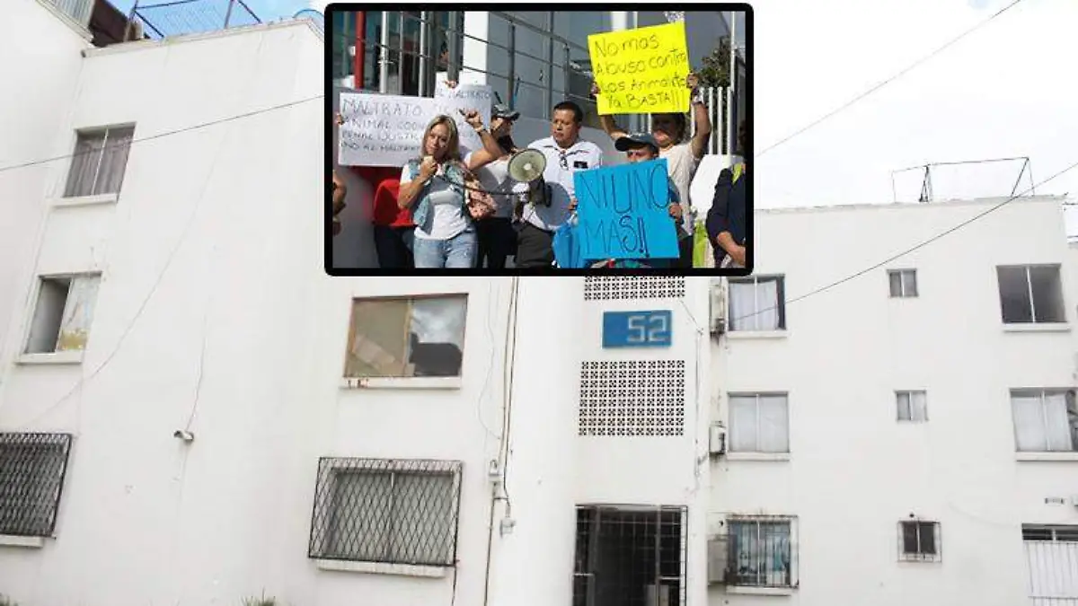 HISTORIA 6 EDIFICIO 52. Foto Javier Pérez