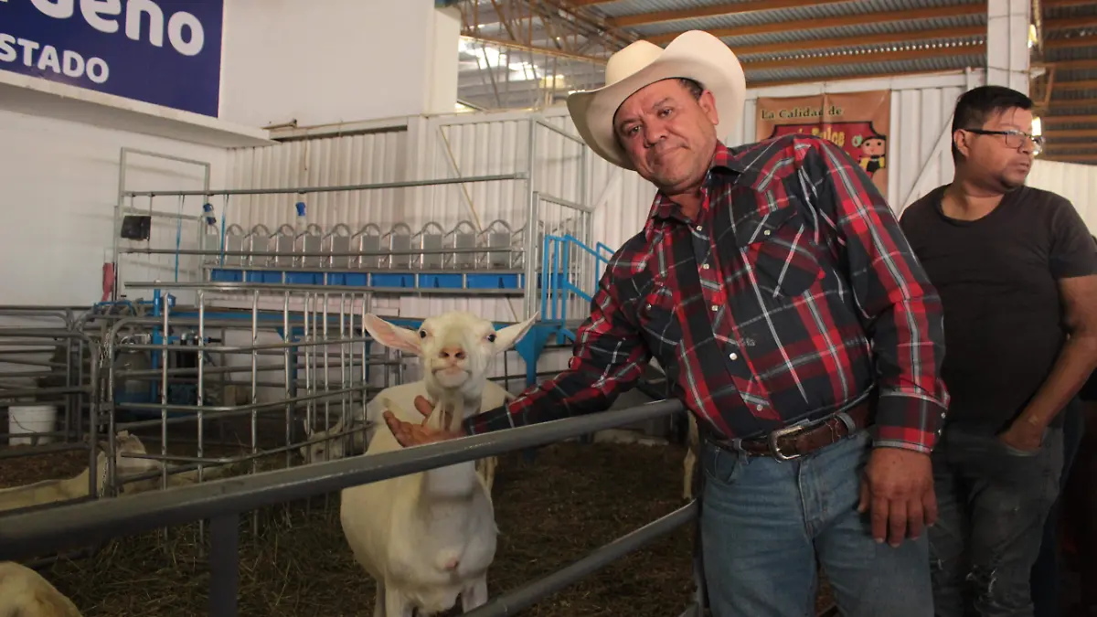 Pie 1 CABRAS (1) (1)