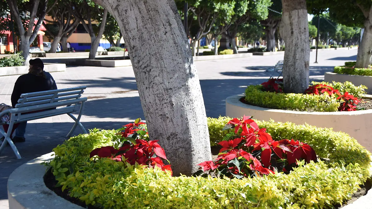 F CARMONA NOCHES BUENAS (1)