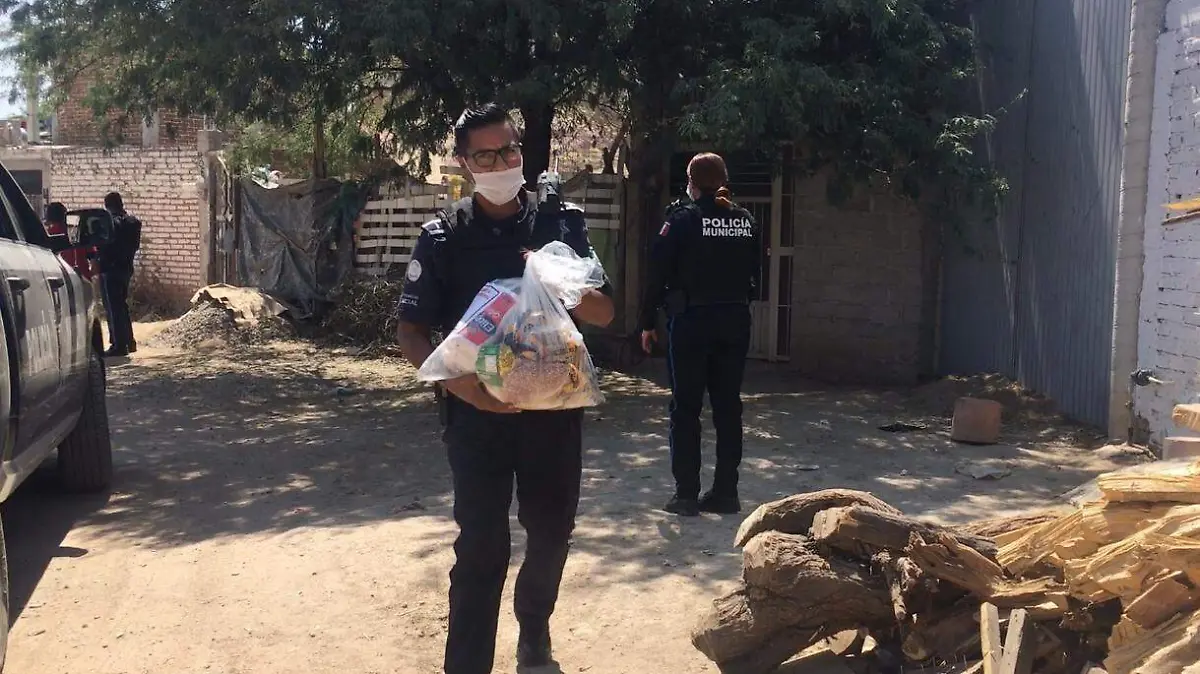 photo5560178474749110222