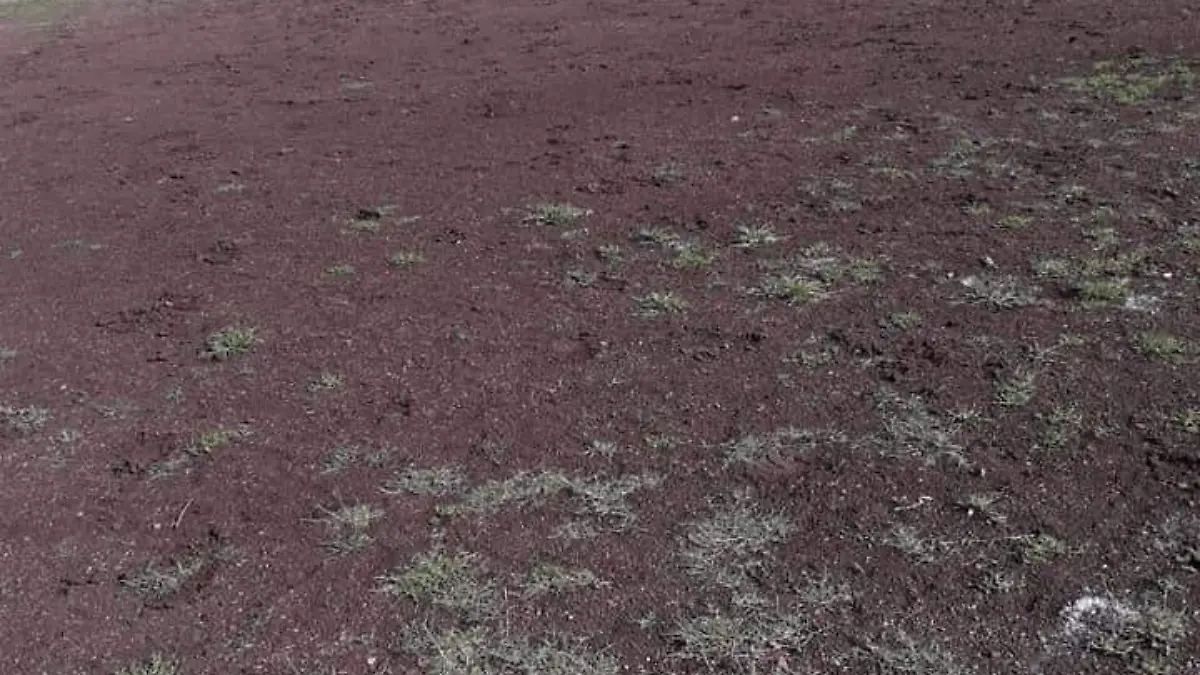 FB_IMG_1563737563282