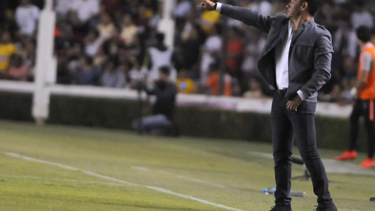 WhatsApp Image 2019-05-16 at 11.17.02 PM