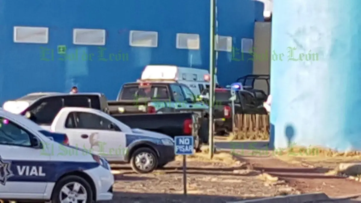 WhatsApp Image 2017-03-24 at 6.32