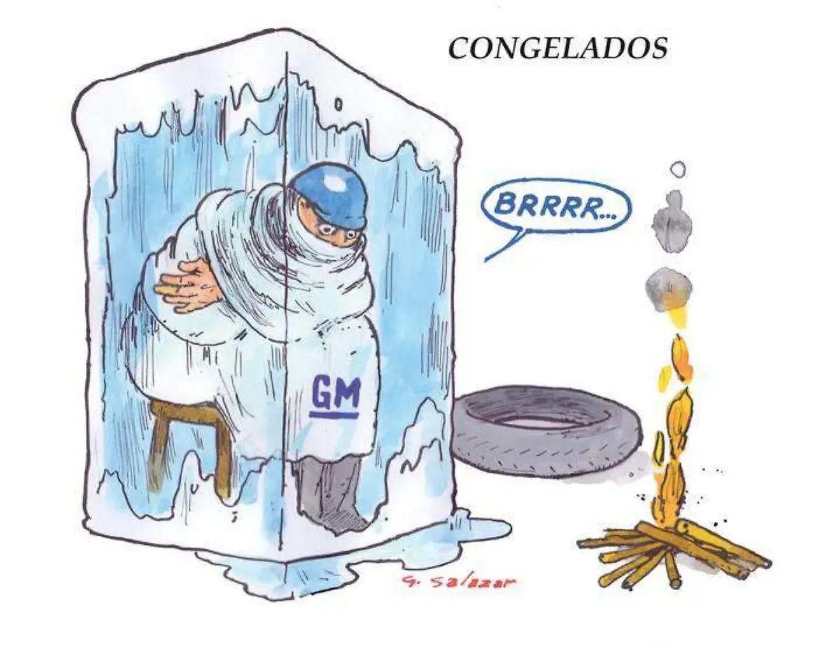 Hoy en el cartón de Salazar - CONGELADOS