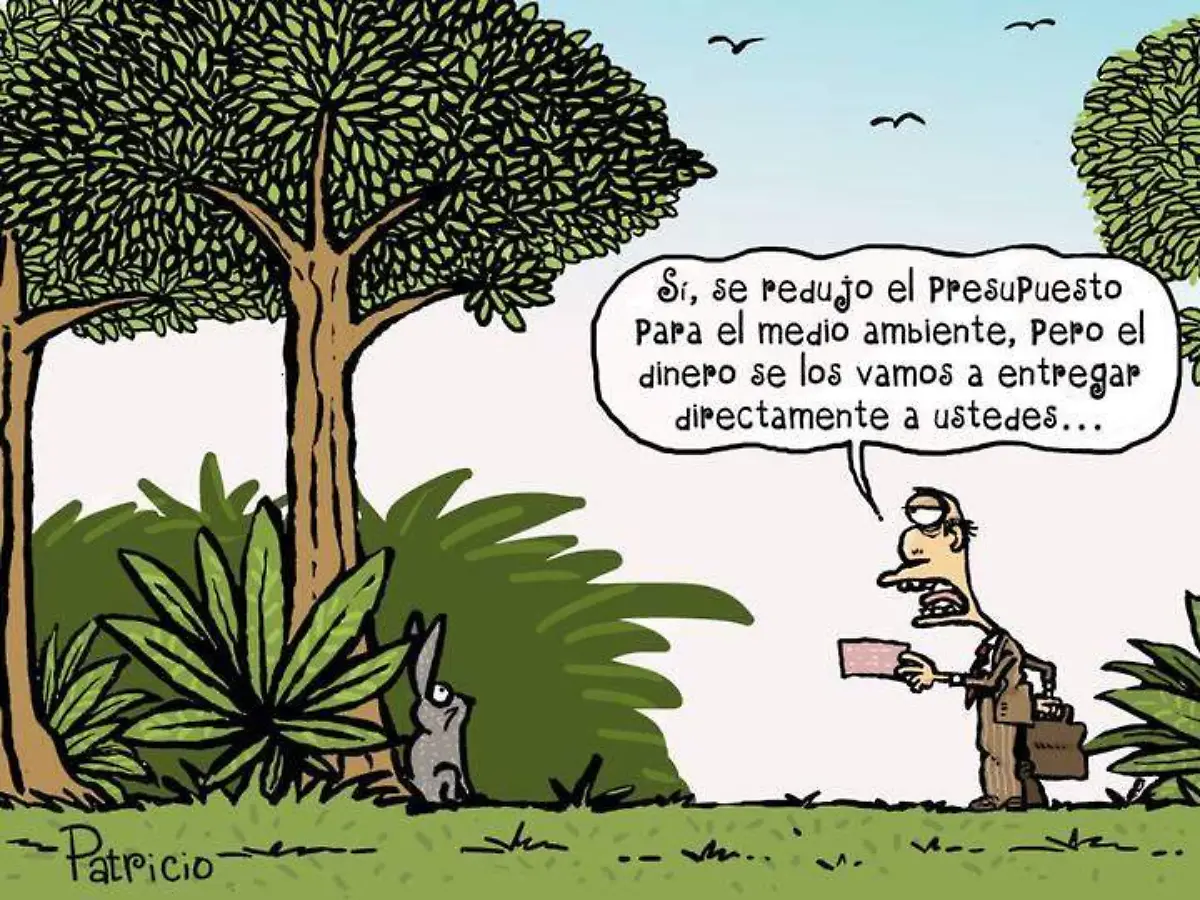Patricio _ Presupuesto al Medio Ambiente
