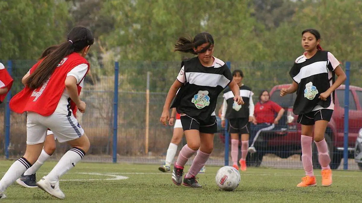 Futbolito Bimbo 2025