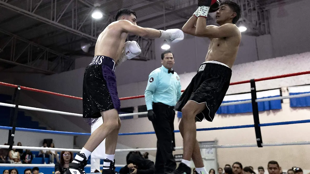 Bajío Boxing Promotions