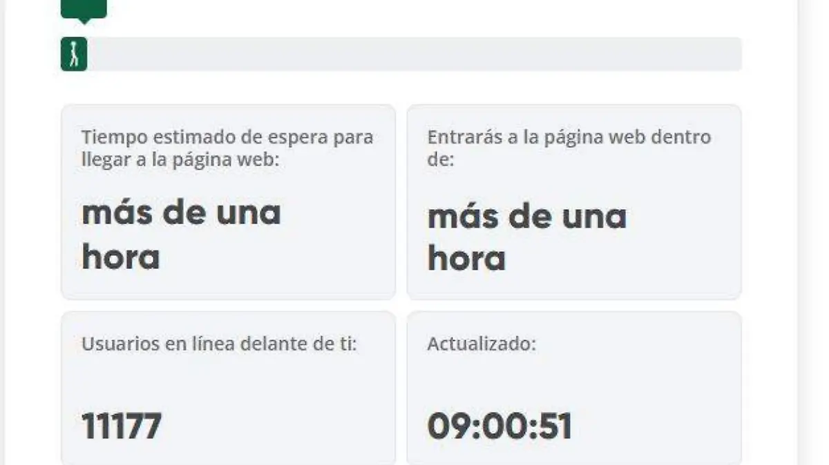 Def Leppard fial virtual