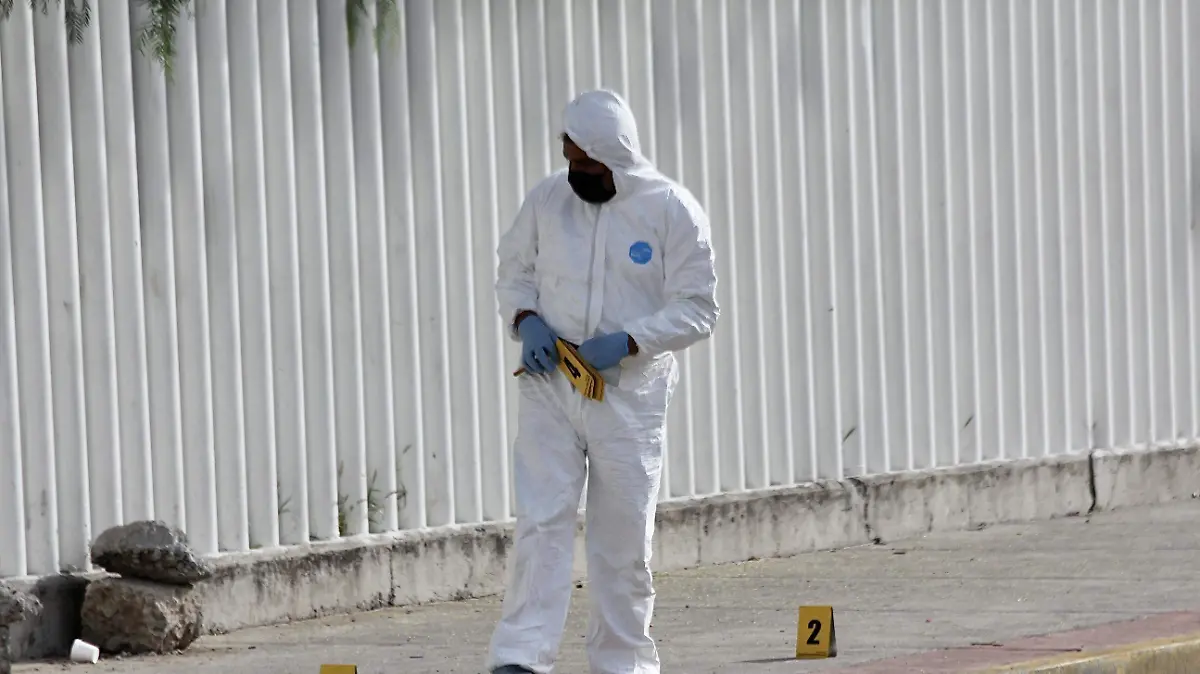 BALEADO LEÓN UNO (4)