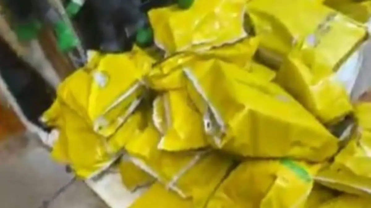 MERCADO LIBRE EN LA FERIA ESTATAL DE LEON