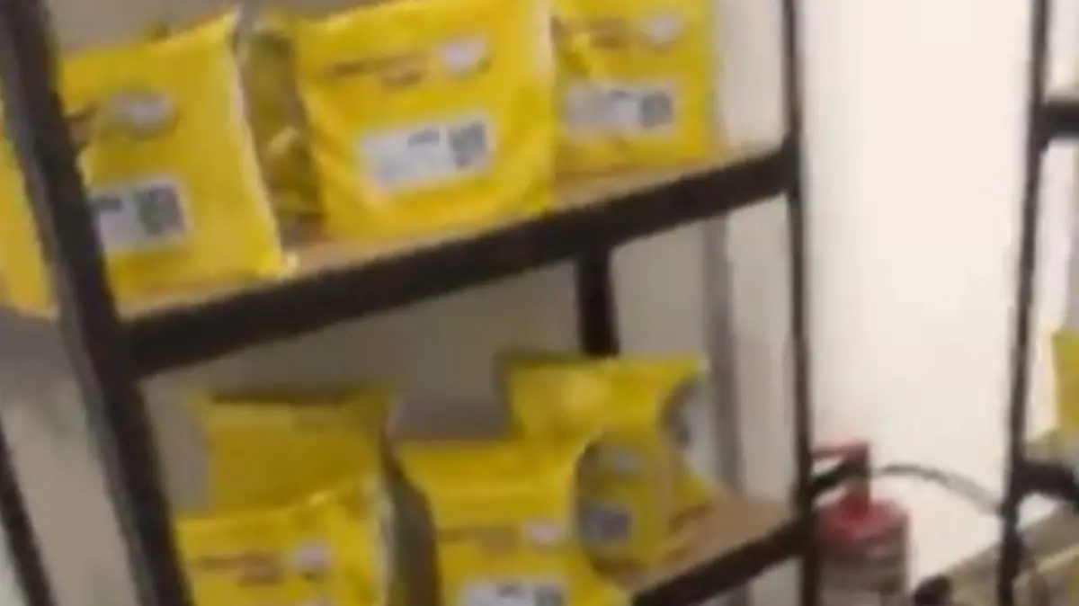 MERCADO LIBRE EN LA FERIA DE LEON 2025