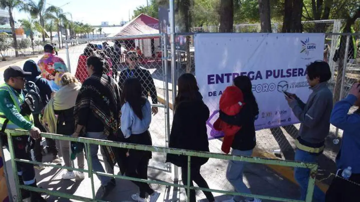 Image 2024-11-19 at 11.15.40 PM (1)