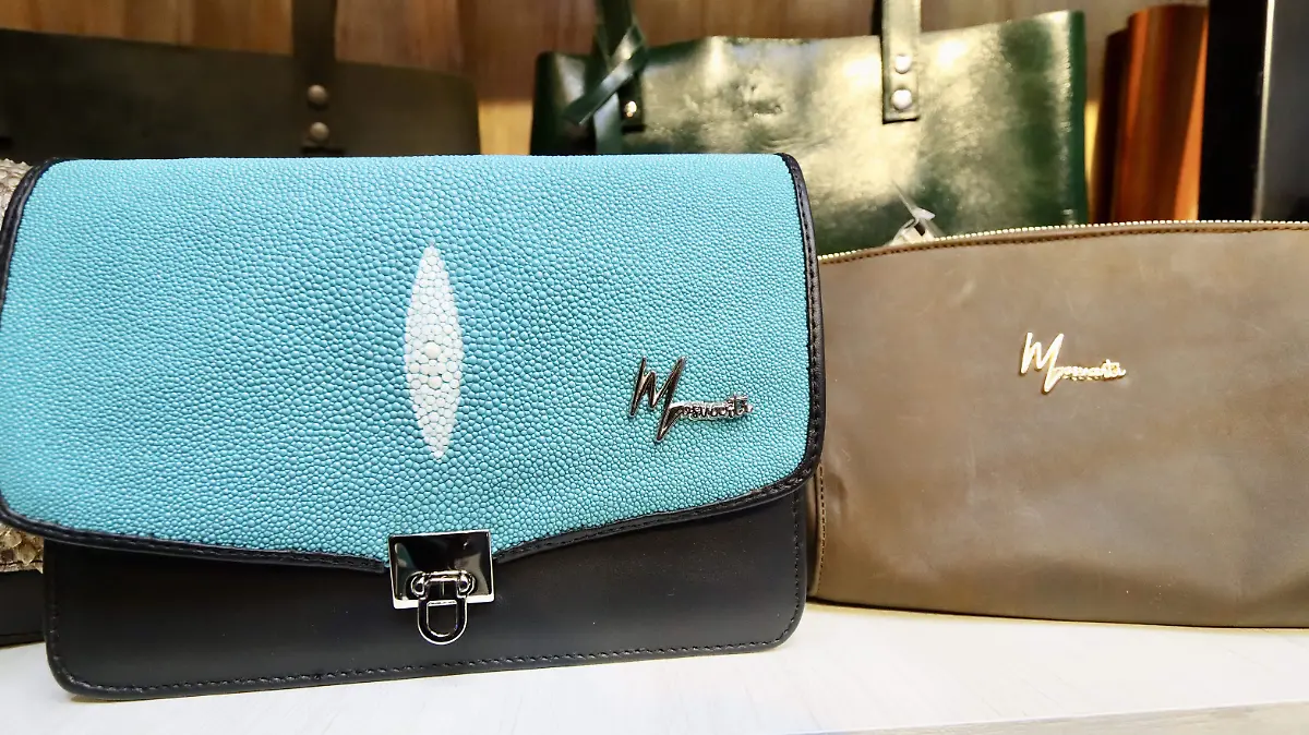 MARCA GTO - Fco Meza - El Sol de León 