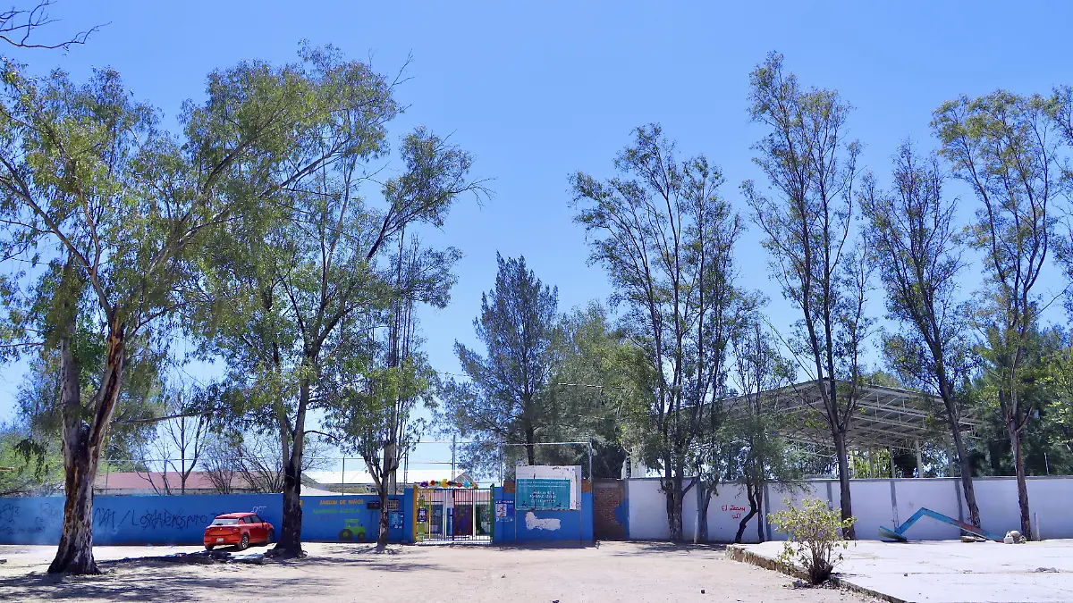 DELICUENCIA KÍNDER - Fco Meza