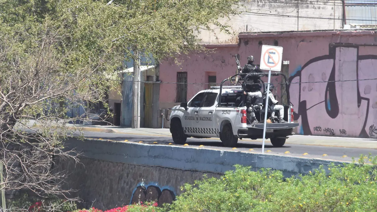 f carmona gullen bordo