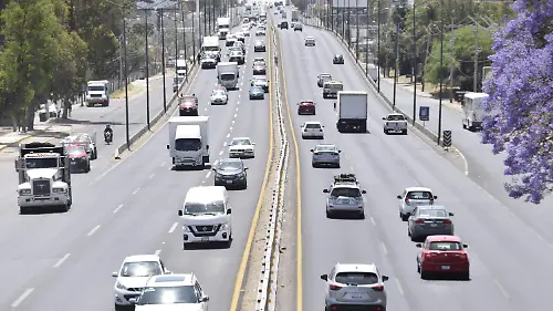 F CARMONA REFRENDO (2)