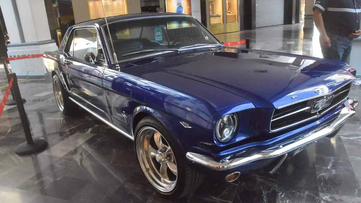 exhibicion mustang 
