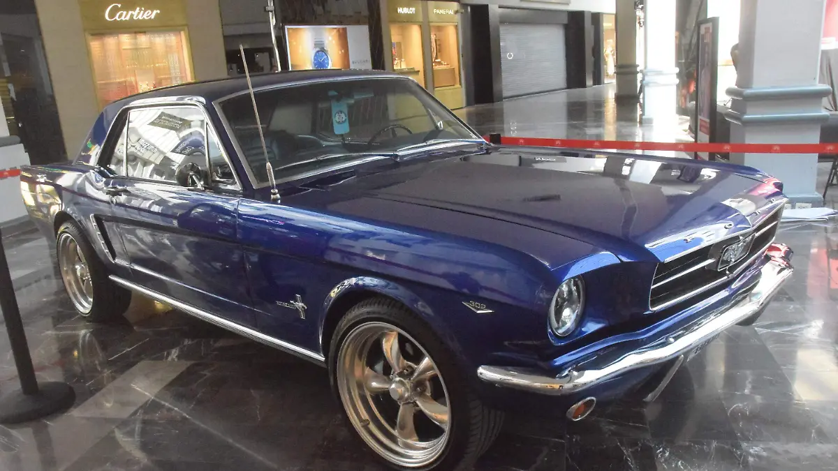 mustang