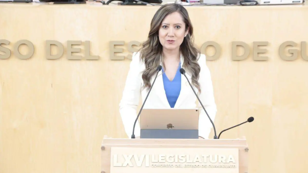 Pilar Gómez Enríquez, diputada del PRD