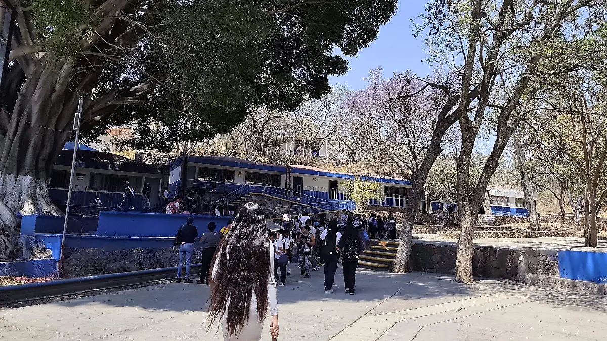 Eliminación de comida chatarra al interior de las escuelas podría aumentar la venta al exterior945