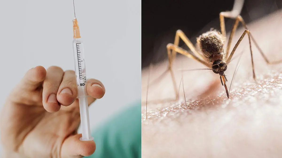 vacuna dengue