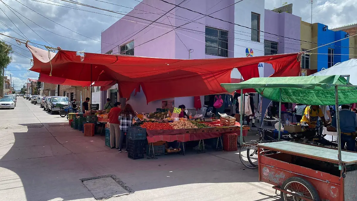 OCAMPO LUZ _ GUSTAVO CARREÓN  (3)