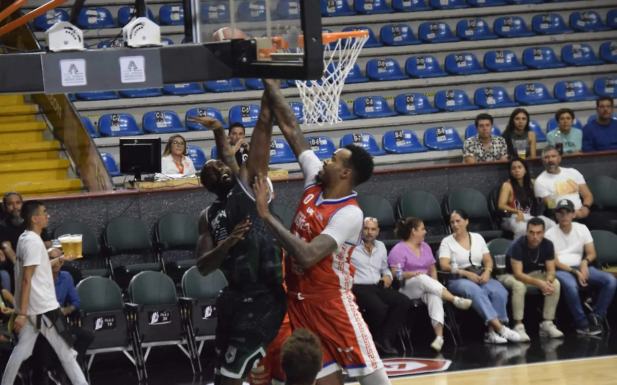 F CARMONA ABEJAS (27)