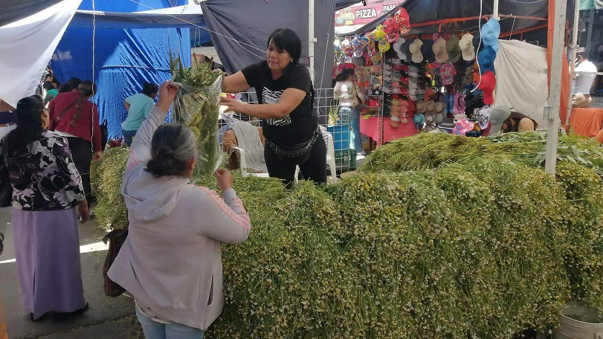 Artesanos de Michoacán llegan con más de 300 ramos por día para el tradicional tianguis del Domingo de Ramos 