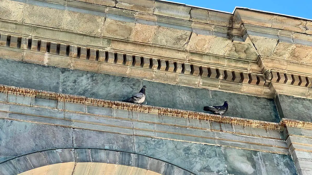 pérgolas del Jardín Reforma en pésimas condiciones