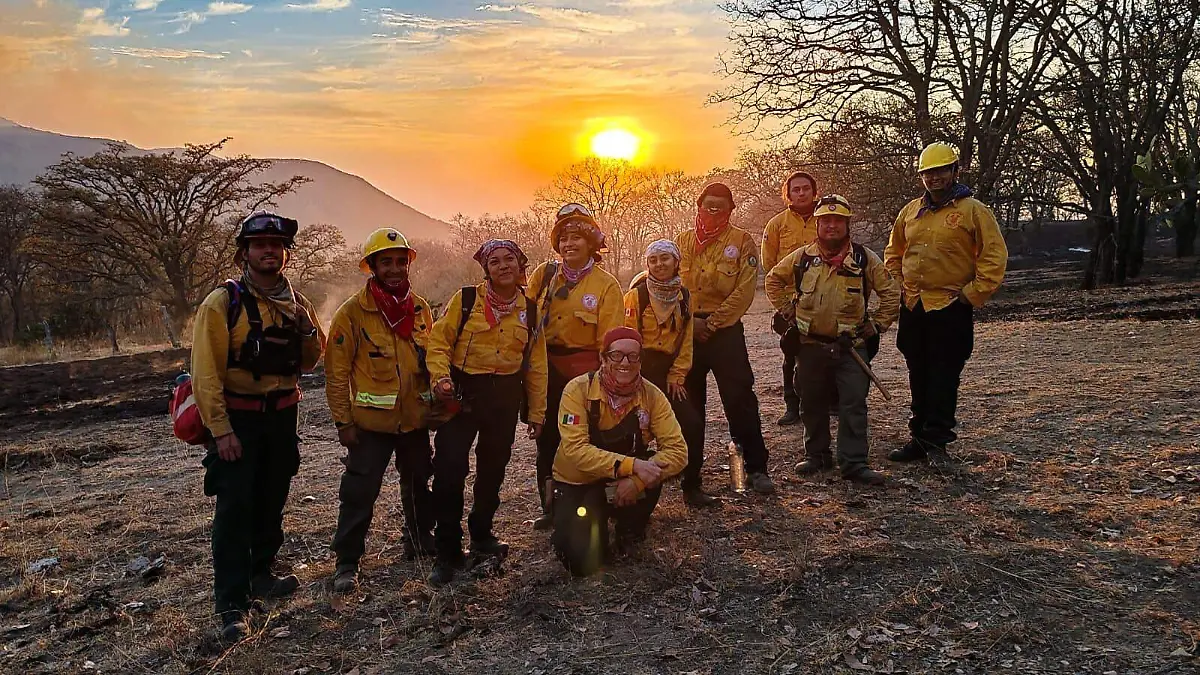 WhatsApp Image 2025-04-23 at 9.51.22 AM