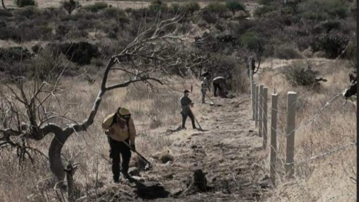 Con plantas y mujeres, así manejan el fuego en Yaotzin Fuego y Territorio 