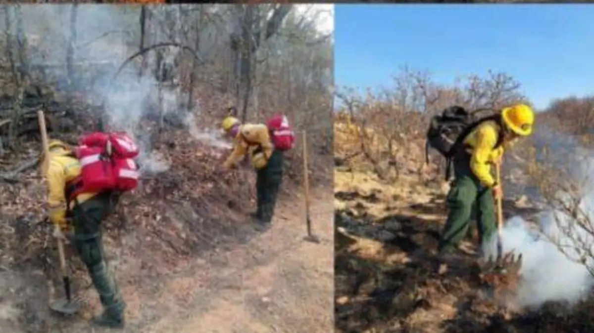 Brigada de Manejo de Fuego “Los Chuines”