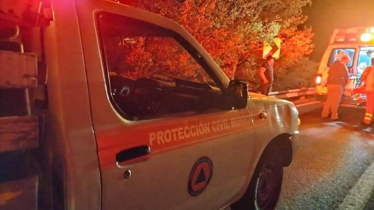 GUANAJUATO- Sofocan incendio forestal en el Cerro del Cuervo tras cuatro días de intensos trabajos (2)