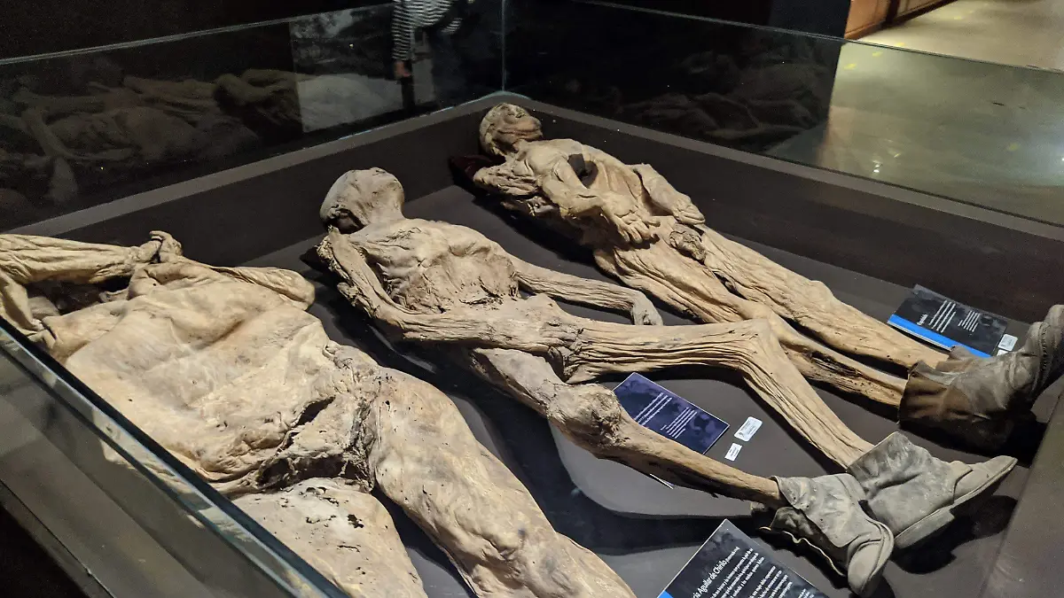Proyecto de rehabilitación del Museo de las Momias podría elevarse a los 130MDP105