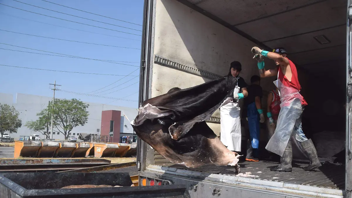 El desabasto que comenzó hace más de un mes 