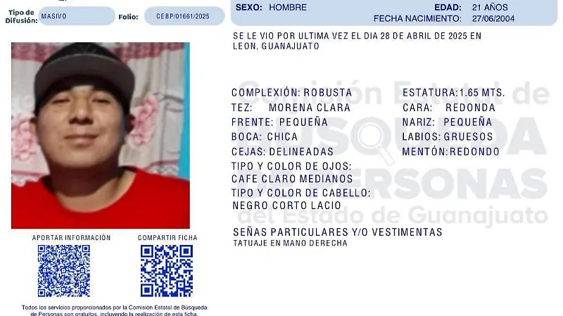 fichas