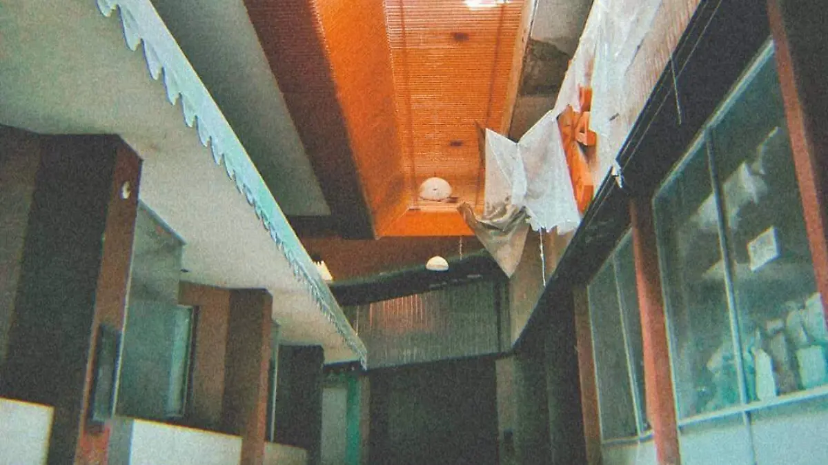 amargamiel_fotografia