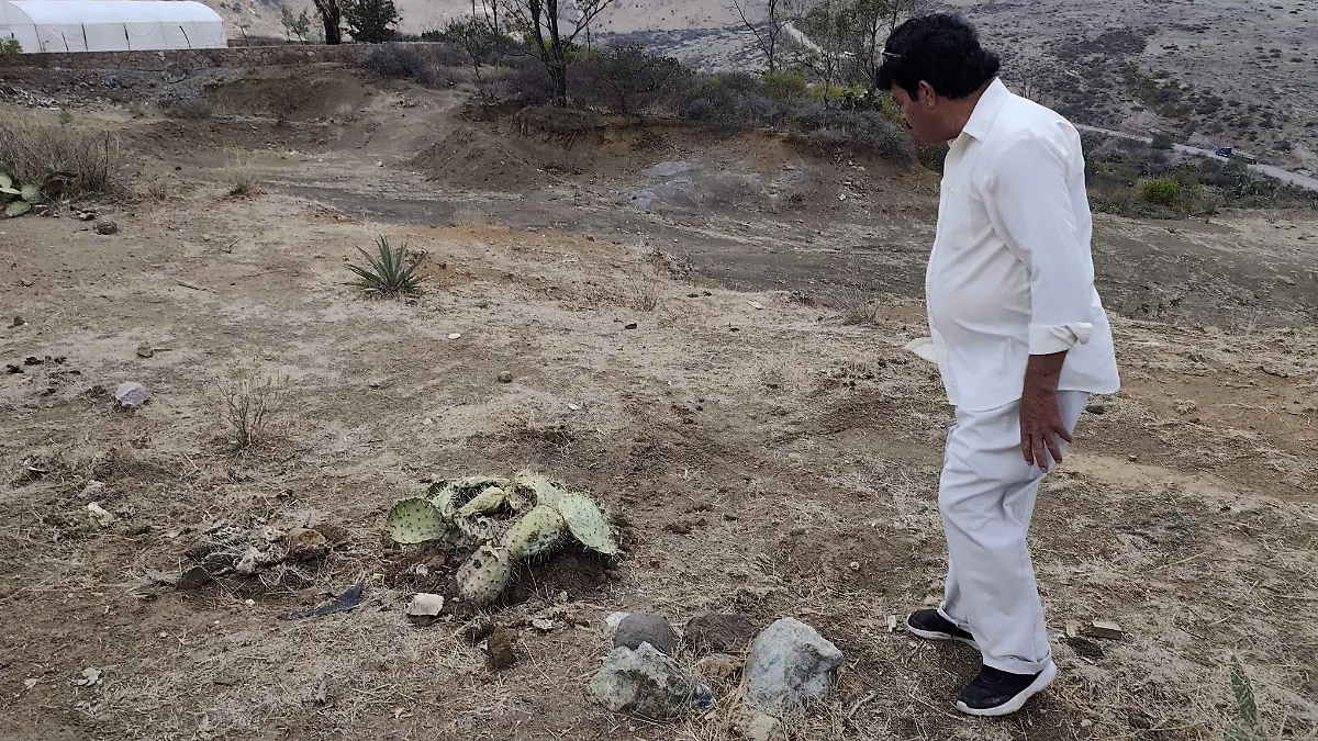 GUANAJUATO- Denuncian envenenamiento de perros en la comunidad El Cubo (5)