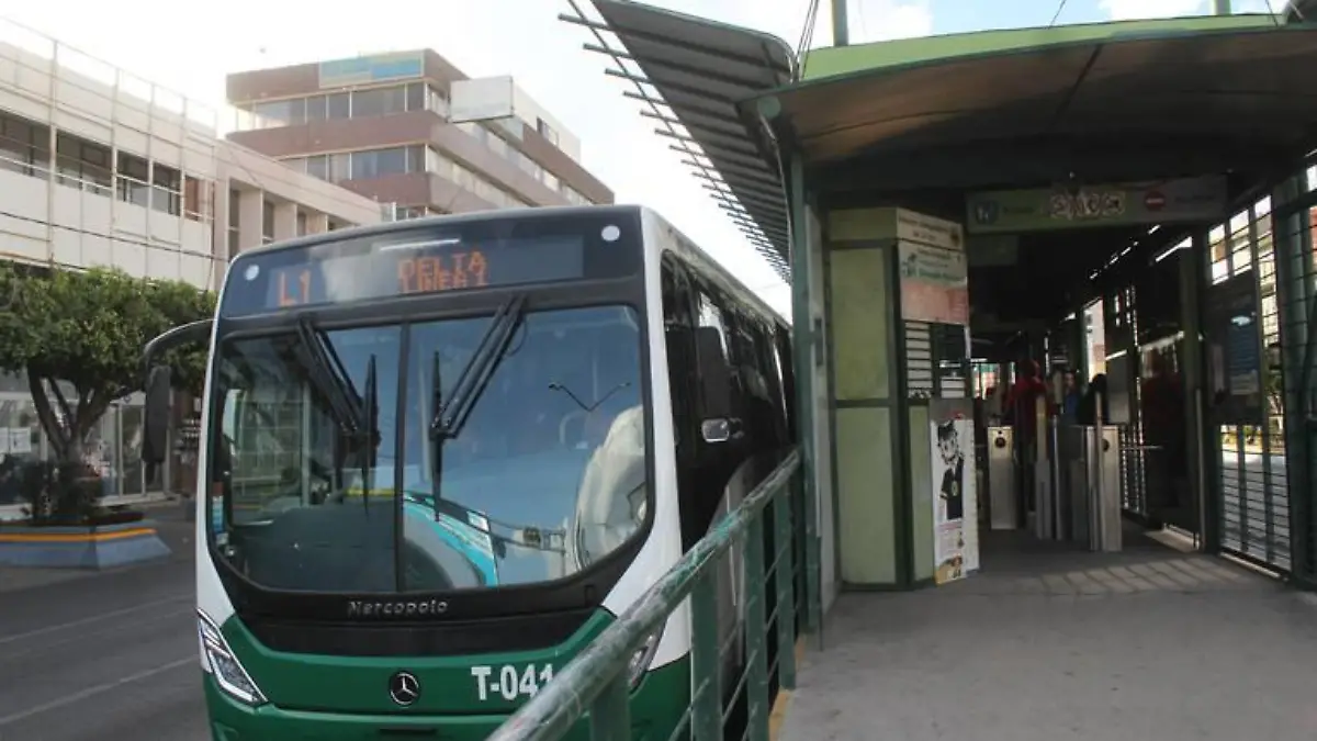 Orugas (3)