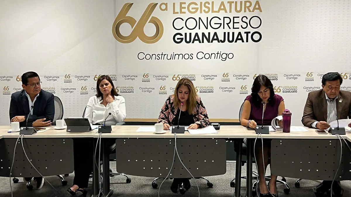 Guanajuato – Niegan los servicios de salud gratuitos para abortar en Guanajuato 2