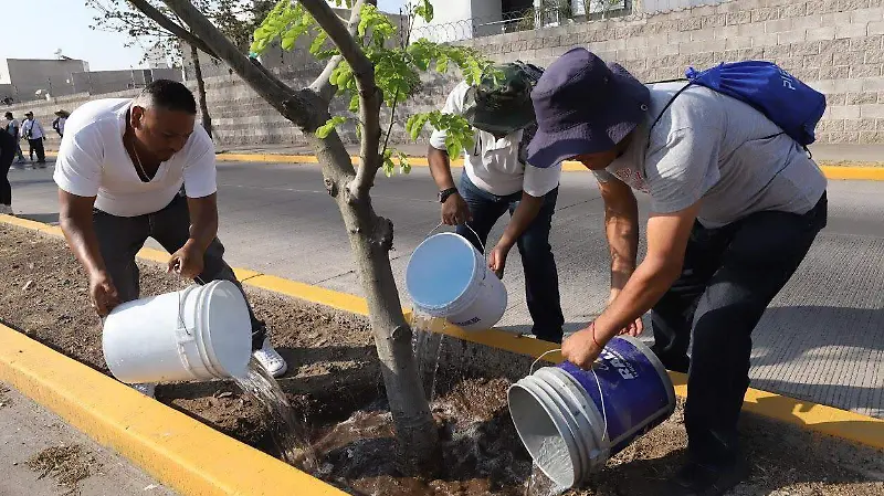servicio comunitario 