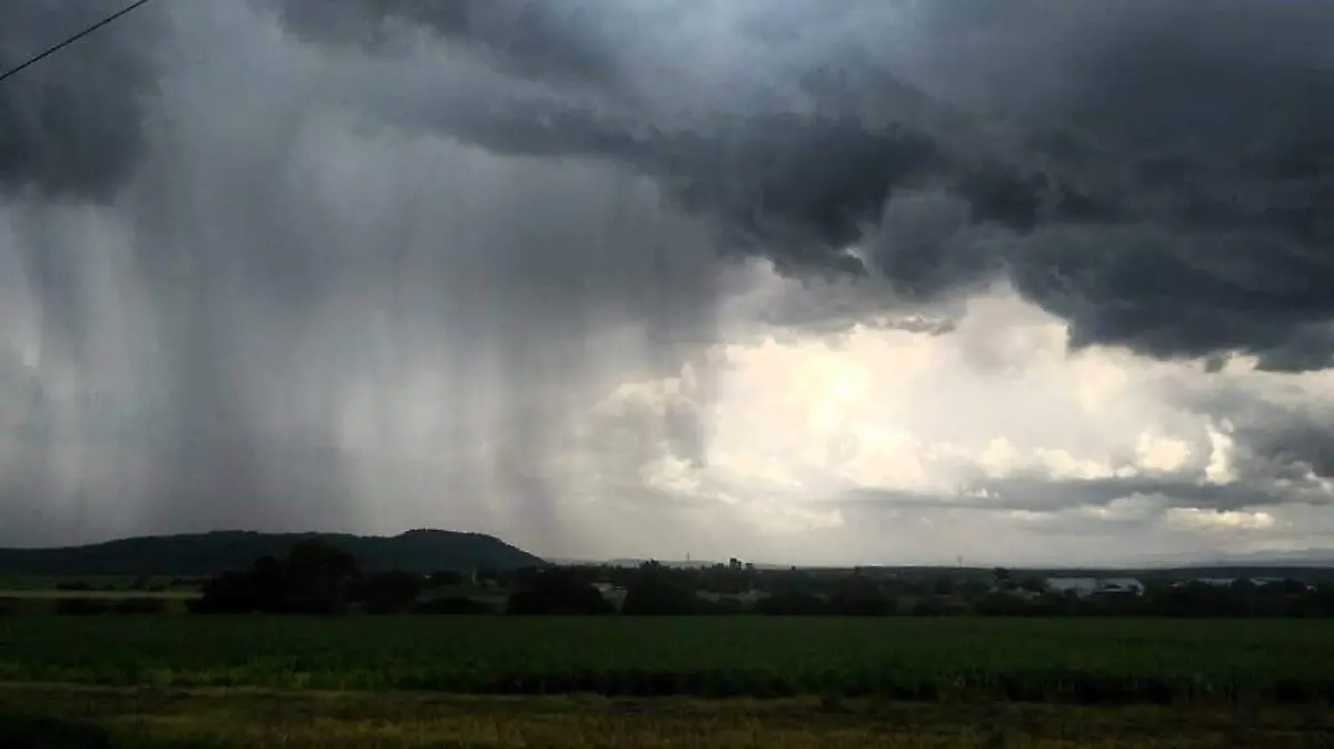 GUANAJUATO- Lluvias favorecen a las actividades agrícolas (2)