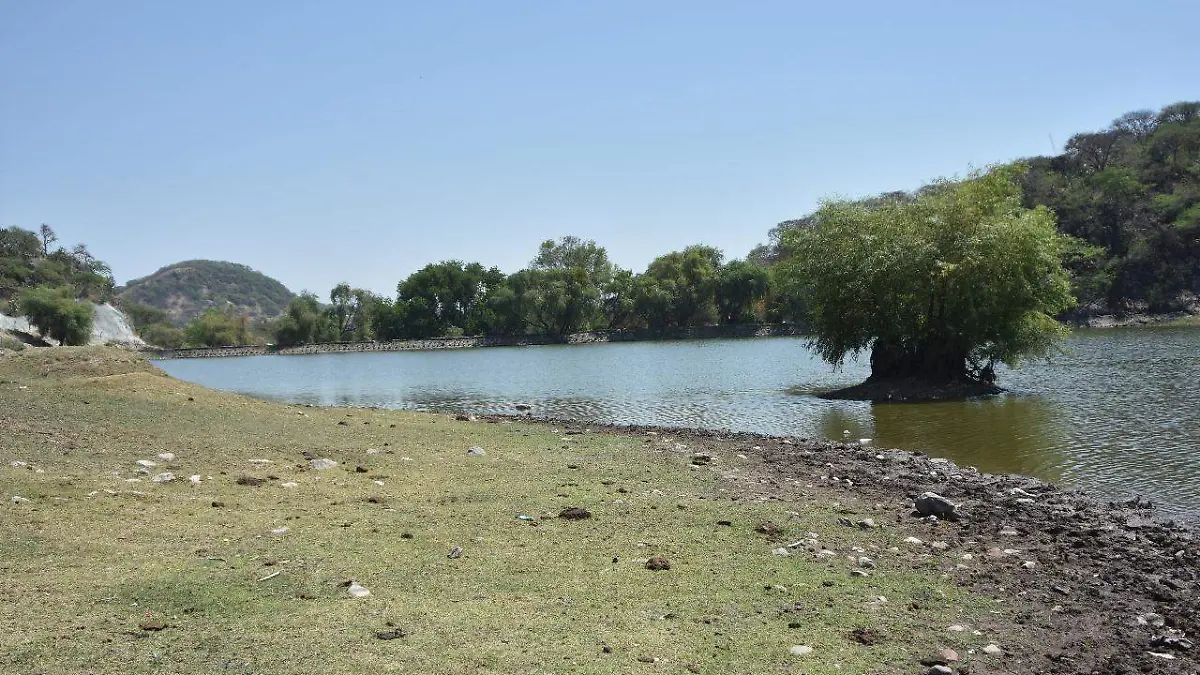 Presas en Guanajuato alcanzan cerca del 60