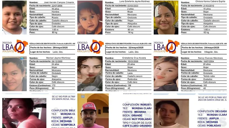 fichas