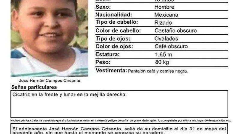 fichas