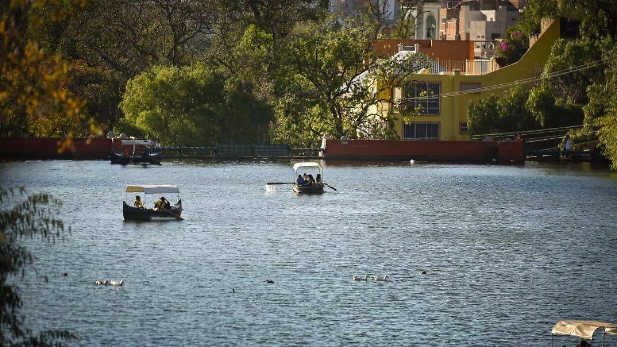 GUANAJUATO- Lluvias en Guanajuato alcanzan 115 mm acumulados en lo que va de 2025 (5).jpg