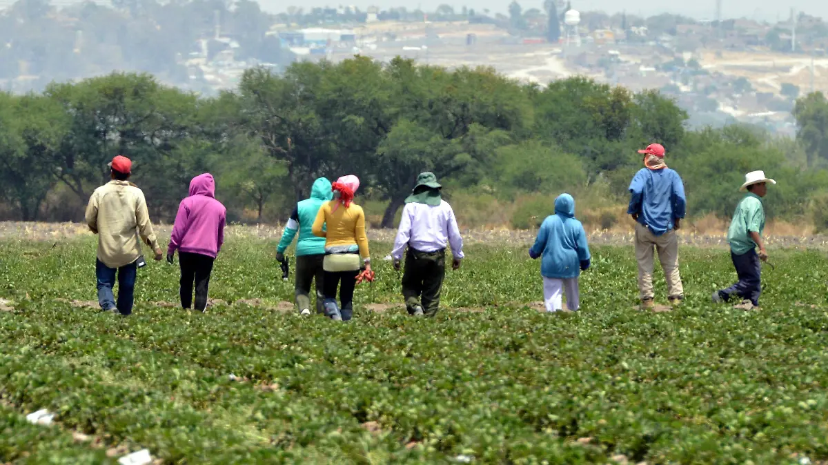 Migrantes Jesus Gutierrez El Sol dev Irapuato (4)