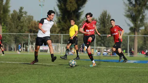 Cortesia Liga Estudiantil  (2)