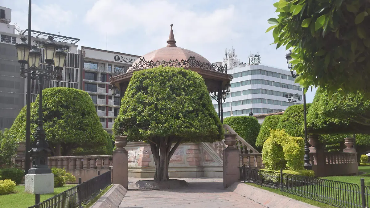 arboles plaza principal